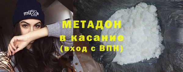 прущие грибы Аркадак