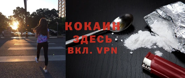 прущие грибы Аркадак