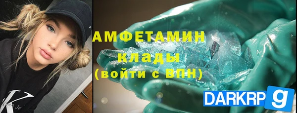 прущие грибы Аркадак