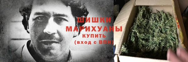 прущие грибы Аркадак
