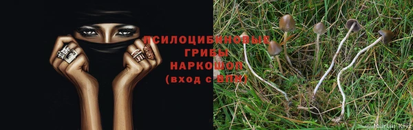 гидропоника Арсеньев